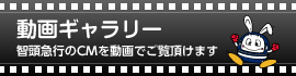 動画ギャラリー