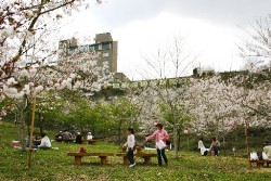 かみごおりさくら園 画像