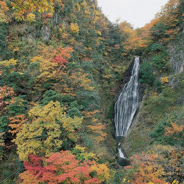 鱒返しの滝