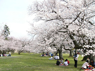 久松公園