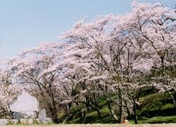 天満山公園