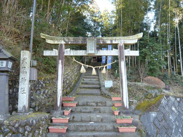 武蔵神社 