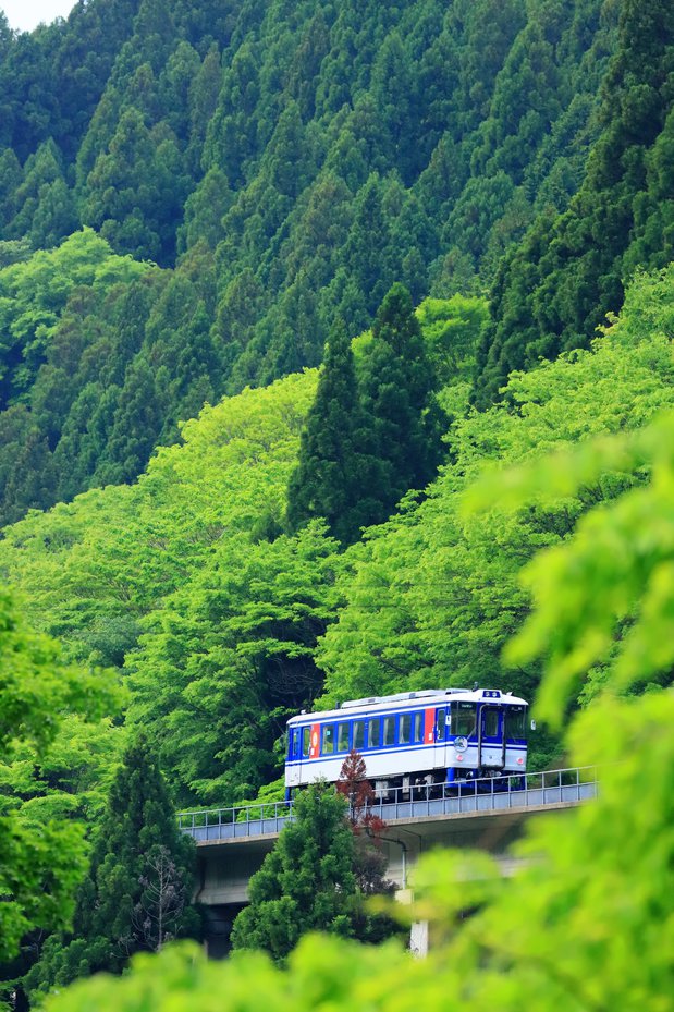 4　佳作　95　居安　芳和様.JPG