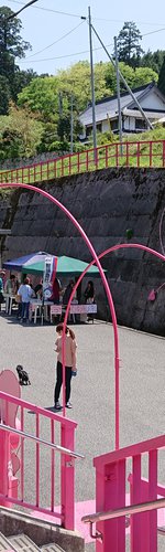 DSC_3465.JPG