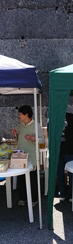DSC_3458.JPG