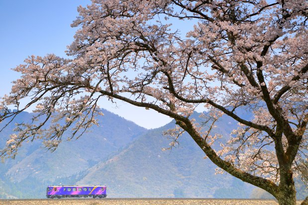 3　銅賞　83　居安　芳和様.JPG